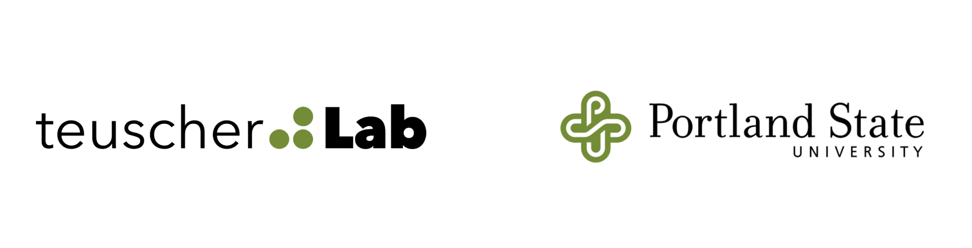 teuscher.:Lab | Next Generation Computing Models and Architectures